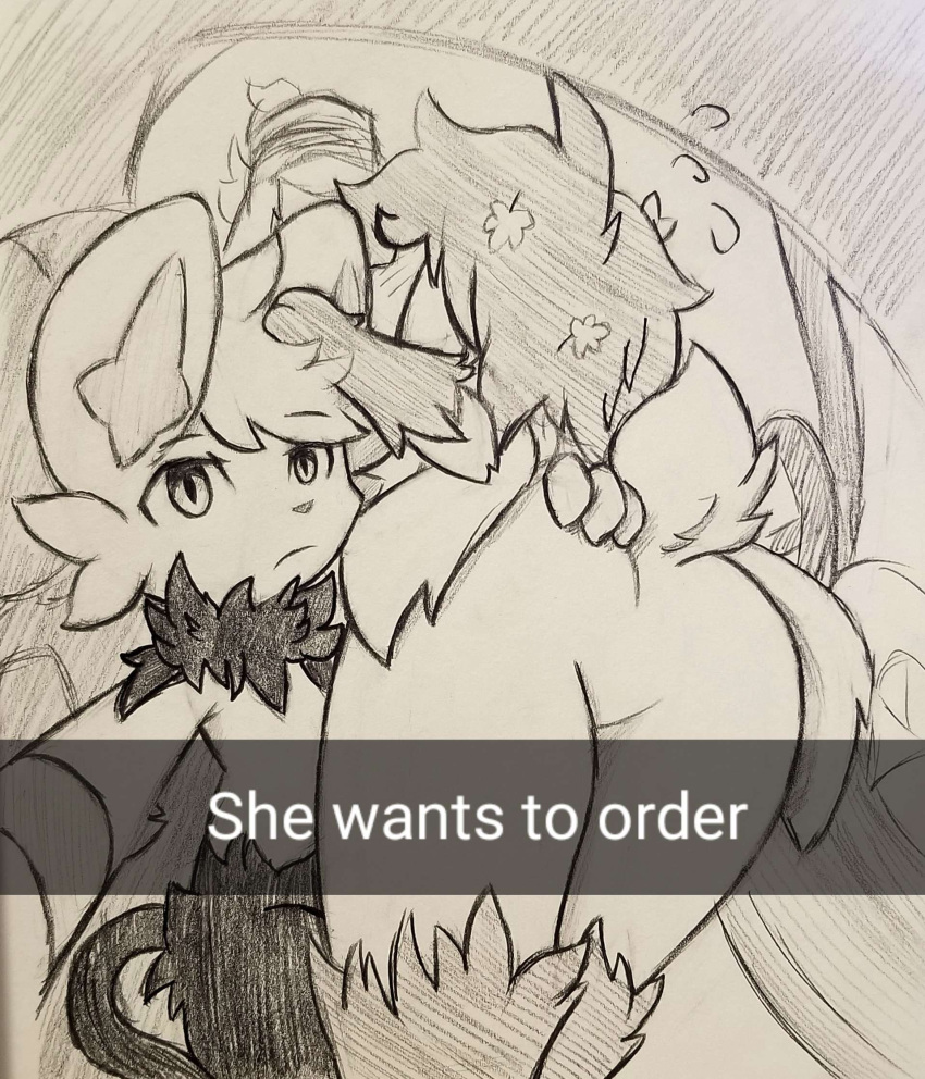 ambiguous_gender anthro butt butt_focus car duo female generation_4_pokemon he_wants_to_order hi_res legendary_pokemon looking_at_viewer meme nintendo pokemon pokemon_(species) shaymin shinx sparkbree vehicle