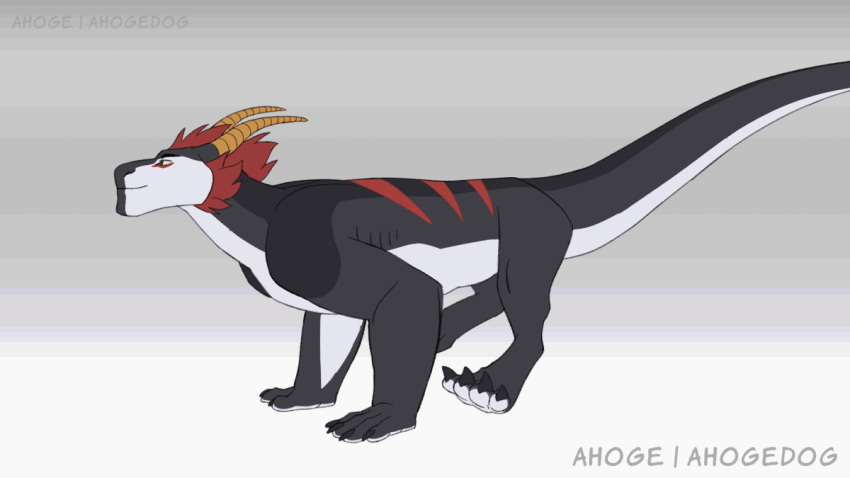 2d_animation ahoge_(artist) animated countershading dragon freight_(ahoge) fur furred_dragon gradient_background grey_body horn loop male mane markings nude quadruped red_mane red_markings running semi-anthro simple_background solo wingless_dragon