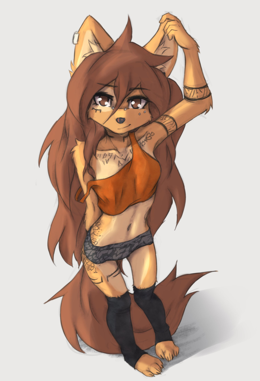 2023 absurd_res anthro apogee_(tinygaypirate) bottomwear breasts canid canine canis claws clothed clothing digital_media_(artwork) domestic_dog feet female female_anthro floppy_ears fur hair hi_res legwear long_hair looking_at_viewer mammal midriff navel paws piercing shirt shorts small_breasts solo spitz tank_top tattoo tinygaypirate toe_claws toes topwear