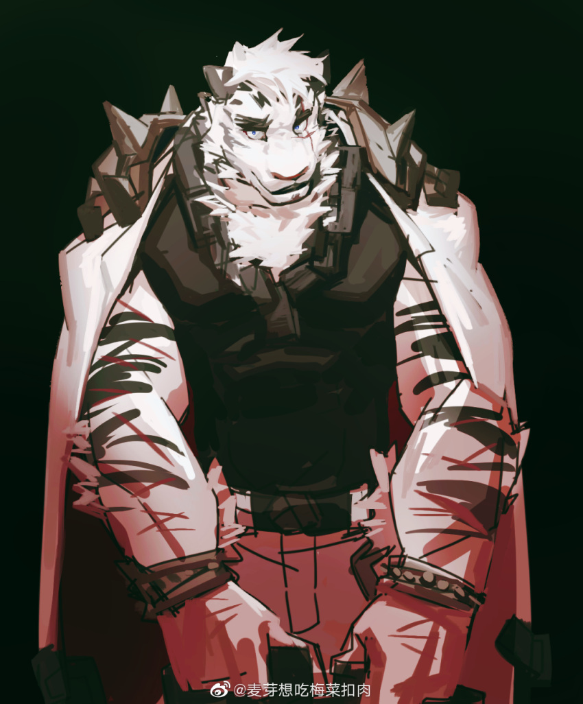 1boy animal_ears arknights bara belt black_belt black_tank_top chain_necklace cuffs facial_hair feet_out_of_frame furry furry_male goatee handcuffs highres jacket jacket_on_shoulders jewelry large_hands large_pectorals looking_at_viewer maiyabuhantang male_focus mountain_(arknights) muscular muscular_male necklace pectorals scar scar_across_eye scar_on_arm short_hair shoulder_spikes smirk solo spikes standing tank_top thick_eyebrows tiger_boy tiger_ears white_hair white_jacket