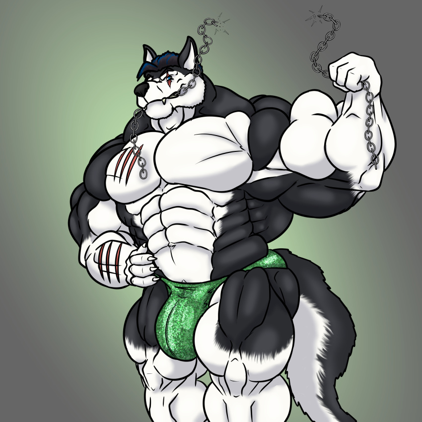 absurd_res anthro biceps bite canid canine canis chain domestic_dog flexing grin hi_res husky male mammal muscular nordic_sled_dog posing_trunks scar smile solo spitz strength tanmux tokitechie wolf