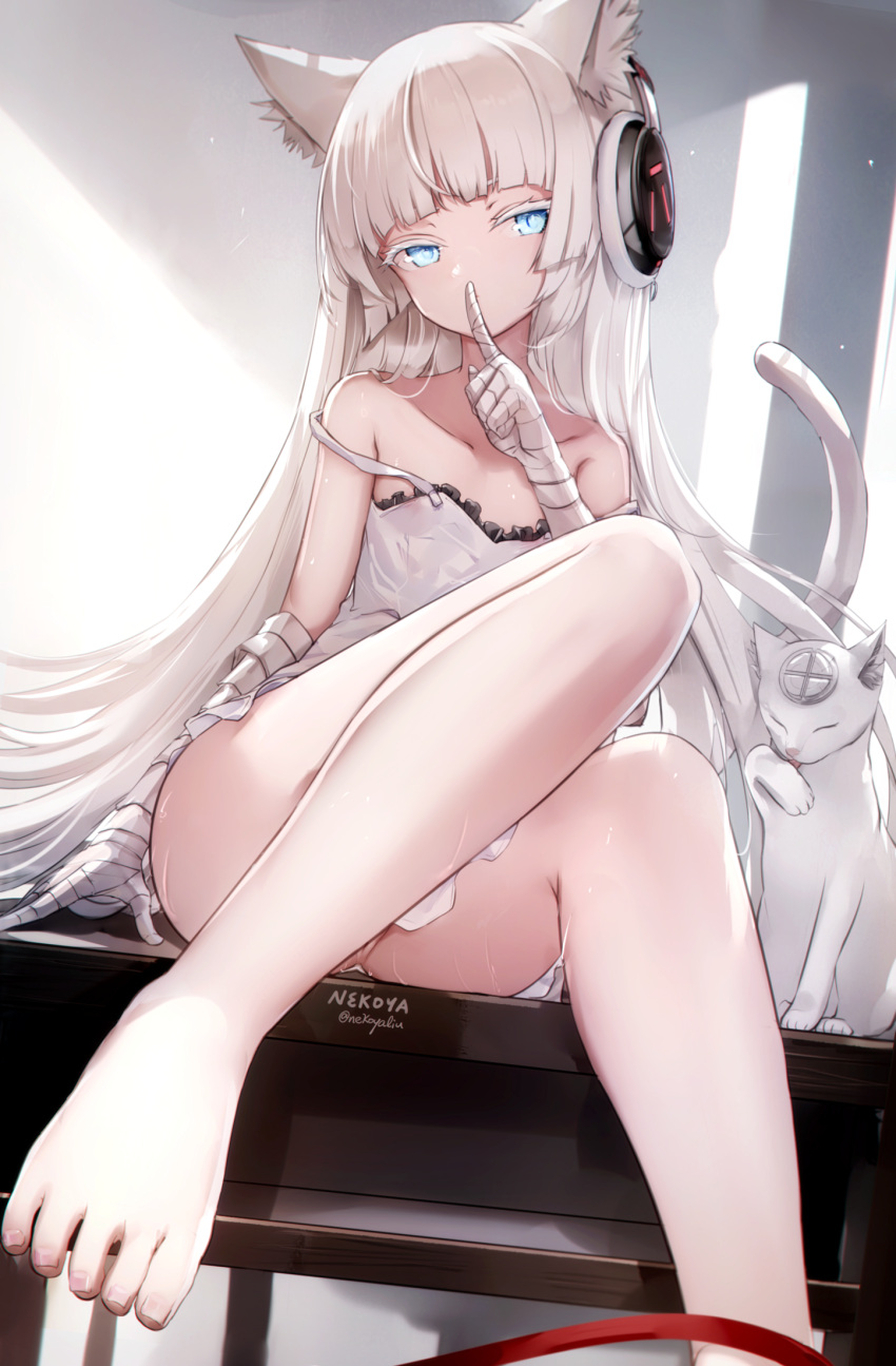 1girl animal animal_ear_fluff animal_ears bandaged_arm bandaged_hand bandages bare_legs bare_shoulders barefoot blue_eyes cat cat_ears cat_girl cat_tail collarbone colored_eyelashes commentary_request dress feet_out_of_frame finger_to_mouth headphones highres long_hair looking_at_viewer nekoya_(liu) original shushing signature sleeveless sleeveless_dress solo strap_slip tail twitter_username very_long_hair white_cat white_dress white_hair