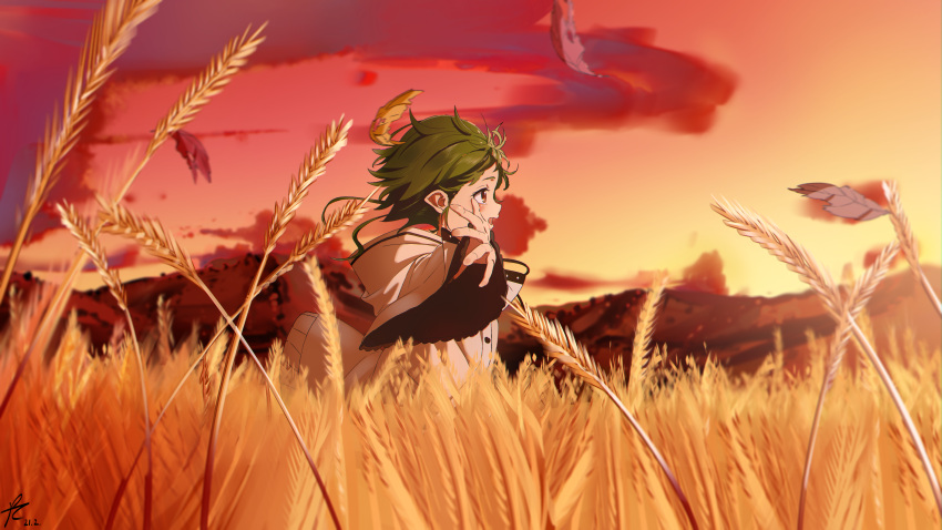 1girl absurdres cloud elf evening from_side gradient_sky green_hair highres hood hooded_jacket jacket mushoku_tensei outdoors outstretched_arms pointy_ears ppchen red_eyes short_hair sky solo sylphiette_(mushoku_tensei) wheat_field white_jacket