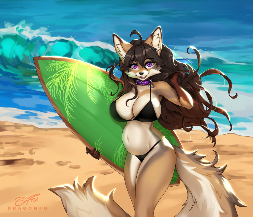 2023 anthro beach belly big_belly big_breasts bikini breasts canid canine canis clothed clothing collar countershading coyote dragonfu female fox fur gillian hair hi_res hybrid looking_at_viewer mammal navel outside pregnant pregnant_female purple_eyes sand sea seaside smile solo surfboard swimwear water