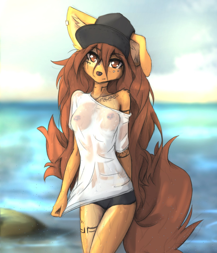 2023 anthro apogee_(tinygaypirate) arm_tattoo big_tail bottomwear breasts brown_body brown_eyes brown_fur brown_hair canid canine canis casual_exposure chest_tattoo clothed clothing digital_media_(artwork) domestic_dog ear_piercing female fur hair hat headgear headwear hi_res hotpants leg_tattoo long_hair looking_at_viewer mammal multicolored_body multicolored_fur nipples nipples_visible_through_clothing no_underwear piercing pulling_clothing sea shaded shirt shorts small_breasts smile smiling_at_viewer solo spotted_nipples standing tail tattoo tinygaypirate topwear translucent translucent_clothing two_tone_body two_tone_fur wardrobe_malfunction water wet wet_body wet_clothing white_clothing white_shirt white_topwear