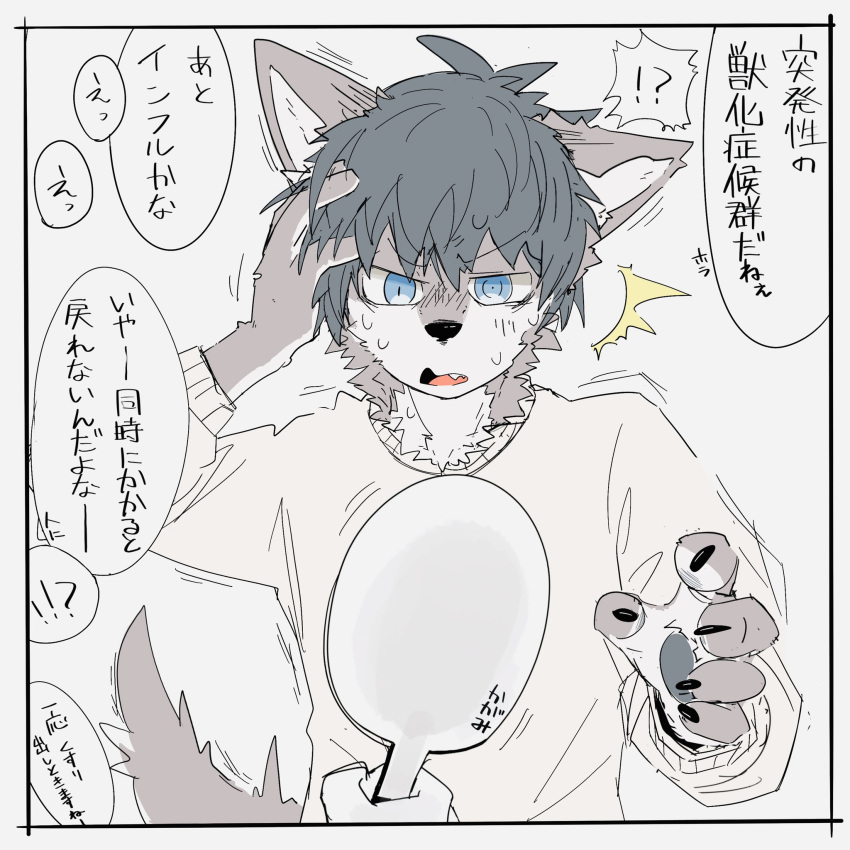 5_fingers after_transformation anthro biped bodily_fluids canid canine canis claws confusion fingers hair hand_mirror hi_res implied_transformation juutton male mammal mirror pawpads solo sweat sweatdrop text translation_request wolf