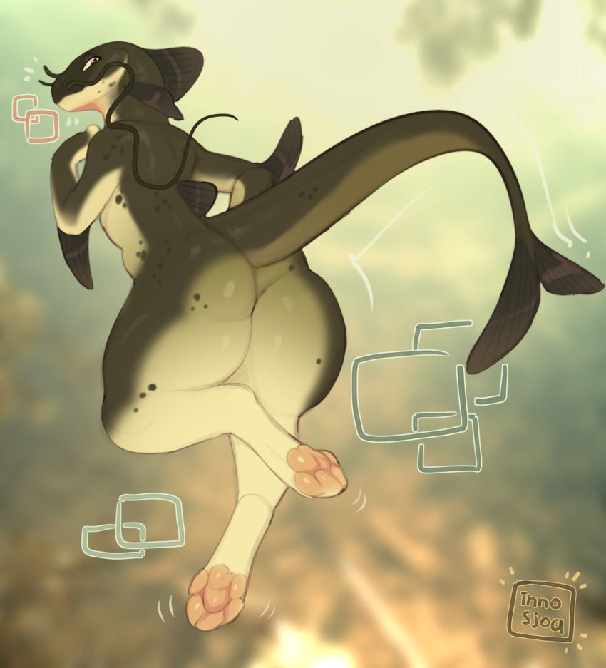 ambiguous_gender anthro barbel_(anatomy) big_butt butt catfish dorsal_fin fin fish flesh_whiskers hi_res inno-sjoa looking_back marine nude pawpads rear_view solo tail tail_fin thick_thighs