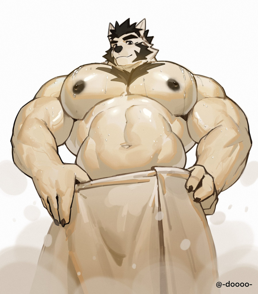 2023 5_fingers after_shower anthro artist_name biceps big_pecs black_hair canid canine canis chest_tuft claws domestic_dog doooo2424 facial_hair finger_claws fingers fur hair hands_on_waist hi_res looking_at_viewer male mammal musclegut muscular muscular_anthro muscular_male nipples pecs shirtless sideburns solo steam towel triceps tuft wet wet_body wet_fur