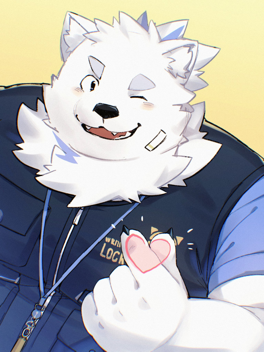 1boy animal_ears bandaid bandaid_on_face bara black_vest blue_eyes blue_fur blue_shirt blush dog_boy dog_ears finger_heart furry furry_male highres jinnai10 lanyard live_a_hero male_focus one_eye_closed open_mouth pocket ponytail scope shirt simple_background solo thick_eyebrows upper_body vest white_fur yohack