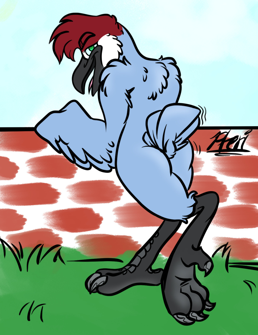 ambiguous_gender anthro antigone_(genus) avian beak bird butt crane_(bird) feathers feet gruiform half-closed_eyes hi_res male narrowed_eyes open_mouth pteri pteri_(pteri) sandhill_crane shaking_butt simple_background simple_coloring soles solo tail_feathers talons tongue tongue_out