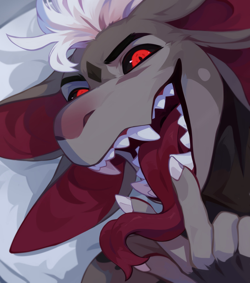 4_ears absurd_res ambiguous_gender anthro black_body black_sclera corzh77 fangs front_view glistening glistening_eyes grey_body grey_ears hair hi_res looking_at_viewer multi_ear open_mouth red_eyes red_inner_ear red_tongue solo species_request teeth tongue tongue_out white_hair