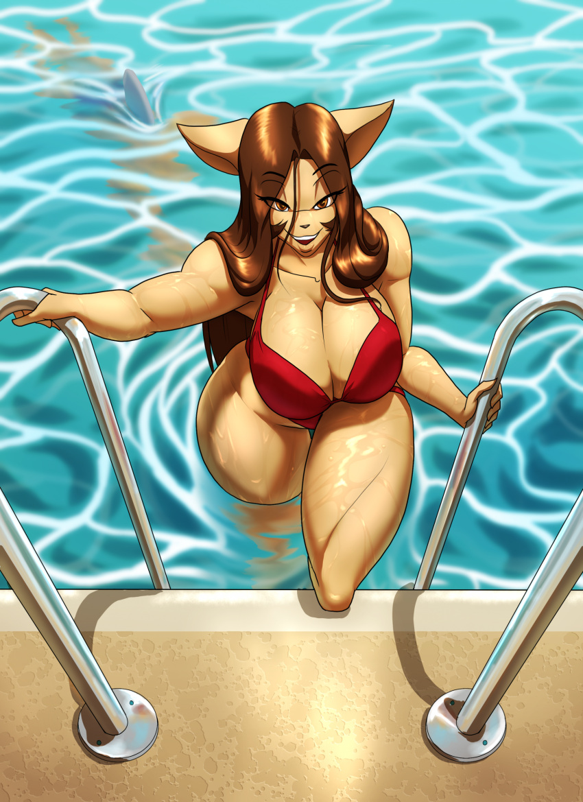 anthro armadillo big_breasts bikini breasts brown_hair cameo cleavage climbing_ladder clothed clothing domestic_cat duo elle_(ooo-belise-ooo) felid feline felis female female_focus hair hi_res long_hair looking_at_viewer male mammal poolside seductive shark_fin swimwear toughset toughset_(character) underwater water wet xenarthran