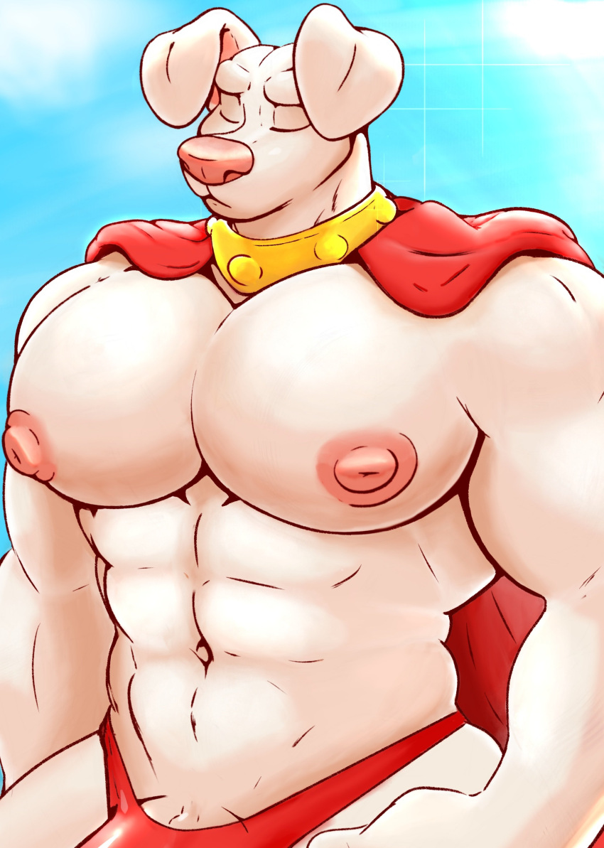 2022 abs absurd_res anthro areola barazoku beart big_muscles big_nipples big_pecs biped canid canine canis cape clothing collar dc_comics domestic_dog eyes_closed floppy_ears genitals half-length_portrait hi_res huge_pecs krypto krypto_the_superdog male mammal muscular muscular_anthro muscular_male nipples pecs penis penis_base pinup portrait pose red_clothing red_underwear sky solo underwear white_body