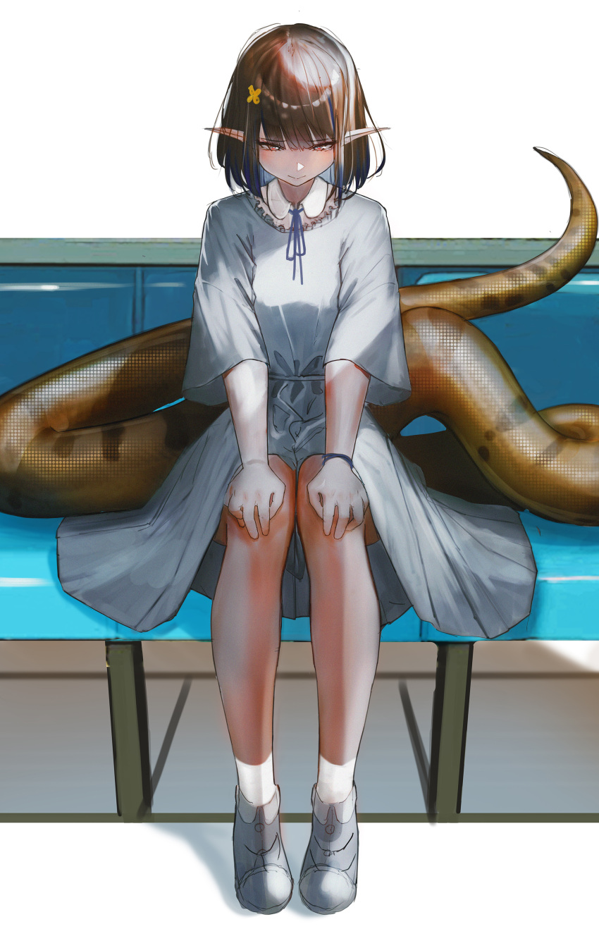 1girl absurdres alternate_costume arknights blue_dress blue_footwear blue_ribbon brown_hair dress eunectes_(arknights) ganet_p highres neck_ribbon pointy_ears red_eyes ribbon shoes short_hair short_sleeves simple_background sitting snake_tail socks solo tail white_background white_socks