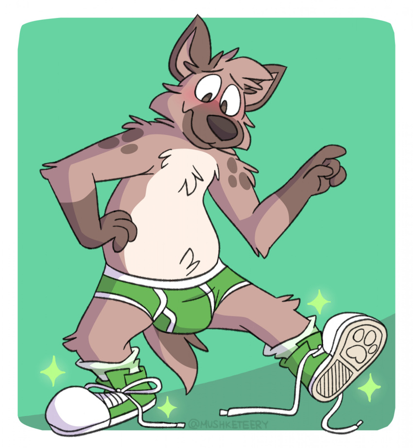 anthro blush briefs brown_eyes brown_nose bulge clothed clothing detailed_background embarrassed footprint footwear green_background green_briefs green_clothing green_footwear green_sneakers green_socks green_underwear hand_on_side hi_res hyena legwear male mammal markings mushketeery pattern_clothing pattern_footwear pattern_legwear pattern_socks pawprint shoelaces simple_background smile socks solo sparkles spots spotted_markings striped_clothing striped_footwear striped_socks stripes topless underwear white_background