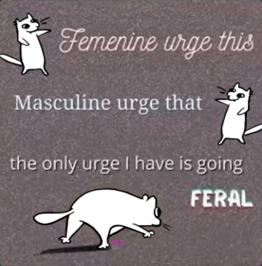 2023 all_fours ambiguous_gender domestic_cat english_text felid feline felis feral fur gesture gloose_(ncs) grey_background hi_res humor mammal meme ncs reaction_image shadow simple_background solo standing text the_truth whiskers