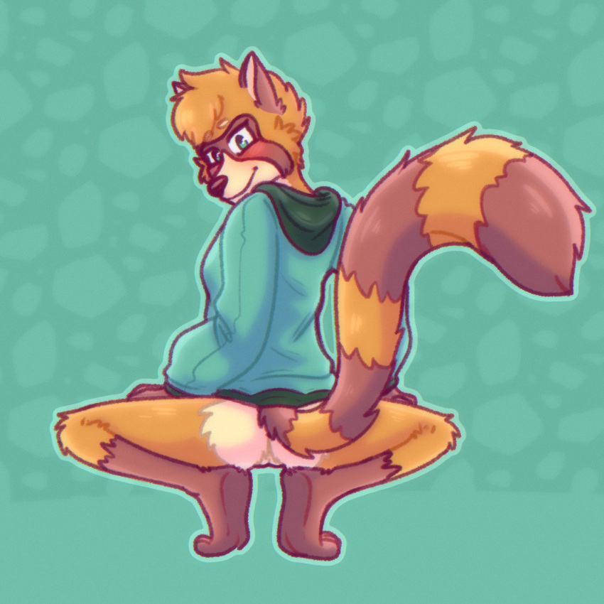 anthro ass_out blush bottomless butt clothed clothing crouching digital_media_(artwork) female fur genitals green_eyes hair hi_res hoodie hoodie_only looking_at_viewer mammal multicolored_body multicolored_fur pantsless presenting presenting_hindquarters procyonid pussy raccoon raised_tail ray_(solarlewds) simple_background smile solarlewds solo tail topwear topwear_only two_tone_body two_tone_fur