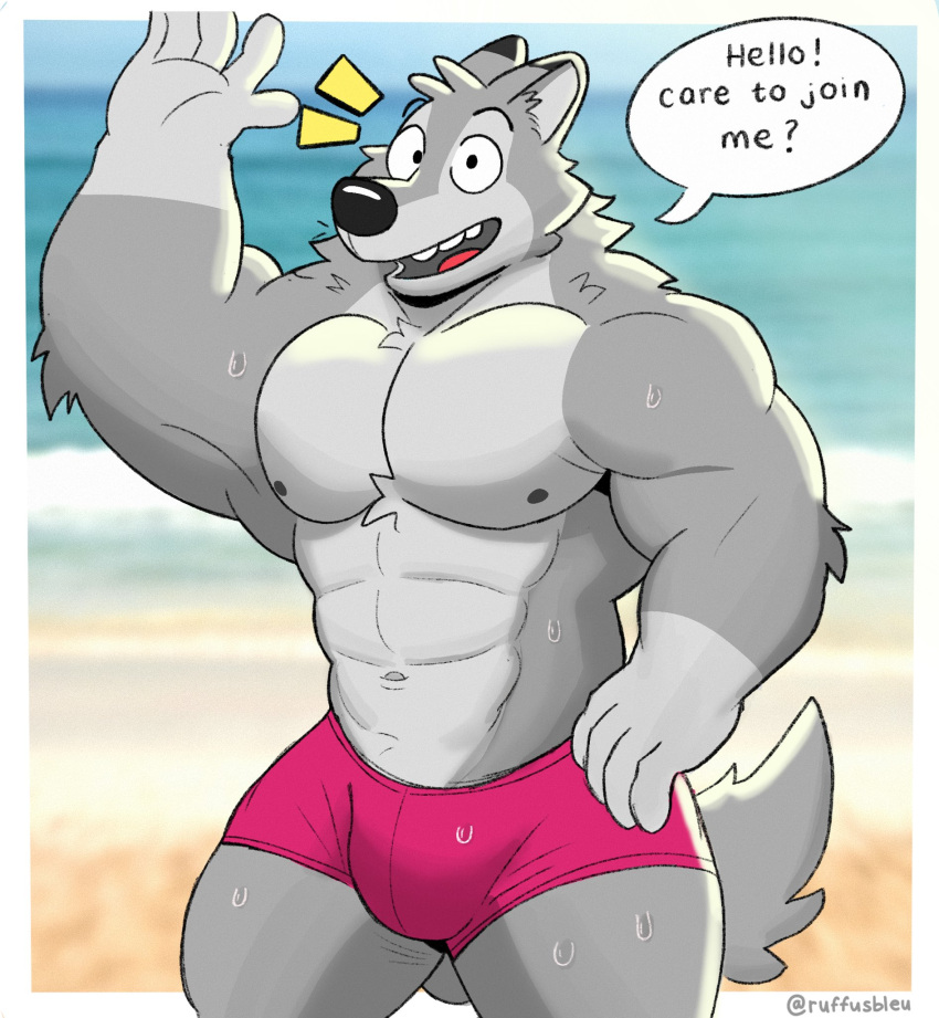 2023 abs anthro barazoku beach biceps biped blurred_background border bulge canid canine canis clothed clothing day dialogue digital_media_(artwork) english_text eyebrows fur grey_body grey_fur hi_res looking_at_viewer male mammal muscular muscular_anthro muscular_male muscular_thighs navel nipples open_mouth open_smile outside pecs quads ruffus_(ruffusbleu) ruffusbleu sand seaside sky smile solo speech_bubble standing swimming_trunks swimwear tail talking_to_viewer teeth text thick_thighs tongue topless water wet white_border wolf