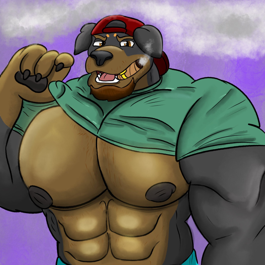 abs anthro beard biceps big_muscles big_pecs canid canine canis cigar clothed clothing clothing_lift domestic_dog facial_hair fur hair hat headgear headwear hi_res looking_at_viewer male mammal mastiff molosser muscular muscular_anthro muscular_male nipples open_mouth pecs purple_background red_baseball_cap red_cap red_clothing red_hat red_headwear rottweiler shirt shirt_lift simple_background smoking solo tobacco tobacco_pipe topwear turquoise_shirt yourpaltygar