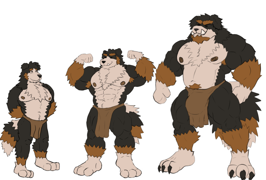 abs absurd_res age_progression barazoku barbarian bernese bottomwear brutification bulge canid canine canis clothing dilfication domestic_dog genitals growth hi_res himbo himbofication hyper loincloth male mammal mature_male mental_changes musclegut muscular pecs penis transformation