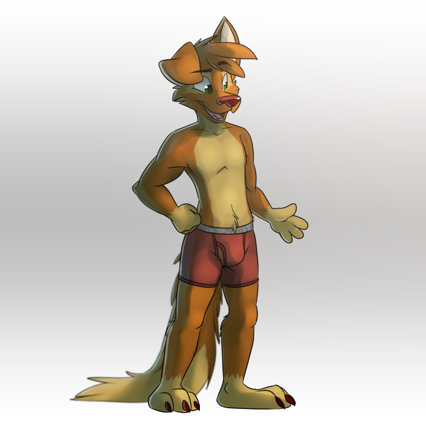 1:1 anthro barefoot boxer_briefs boxer_briefs_only brown_body brown_fur bulge canid canine canis claws clothed clothing domestic_dog feet fur gradient_background green_eyes grey_background hand_on_hip hi_res letterbox male mammal matt_riskely open_mouth red_boxer_briefs red_clothing red_nose red_underwear sharp_teeth simple_background solo tan_body tan_fur teeth teeth_showing tinydeerguy tongue_showing topless underwear underwear_only