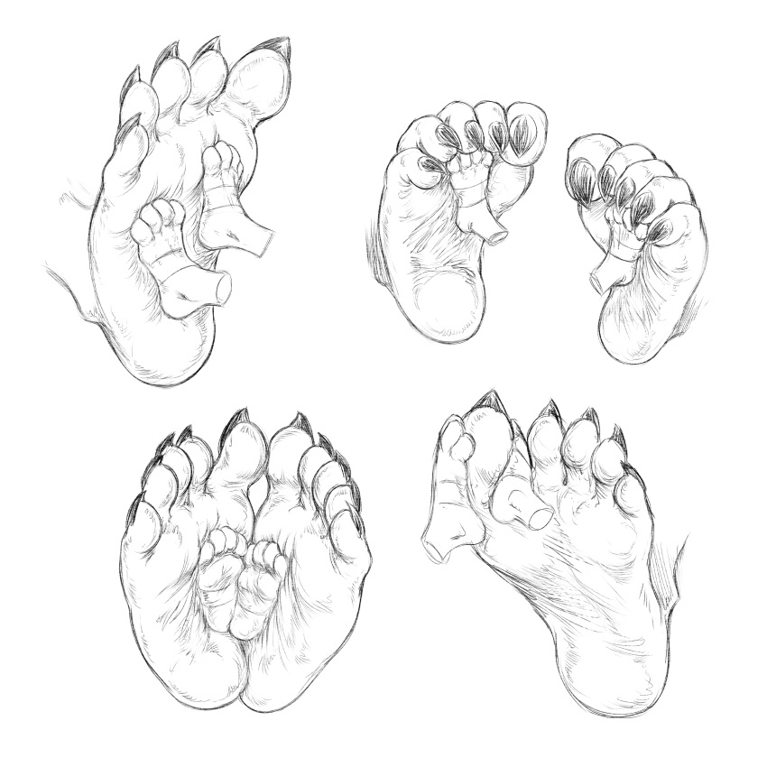 absurd_res anthro big_feet duo feet foot_fetish foot_focus foot_play footsie generation_5_pokemon generation_8_pokemon helmeet_el_gato hi_res male male/male nintendo pokemon pokemon_(species) scorbunny size_difference size_play sole_focus sunny_flowers zed_burrows zoroark