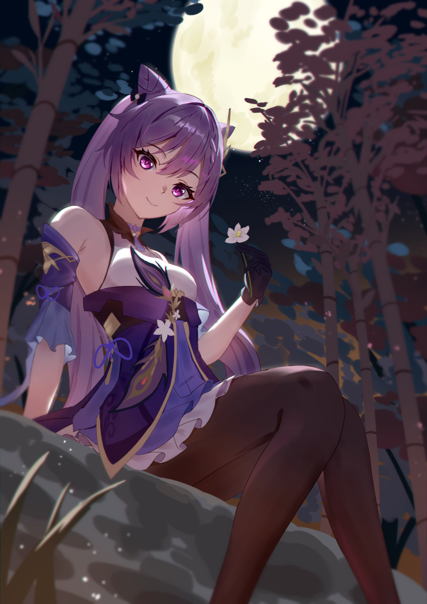 1girl bamboo bamboo_forest black_gloves braid breasts brown_pantyhose choker closed_mouth commentary_request cone_hair_bun detached_sleeves dress flower forest frilled_sleeves frills full_moon genshin_impact gloves hair_bun hair_ornament highres holding holding_flower keqing_(genshin_impact) medium_breasts moon naeeeegi nature night night_sky outdoors pantyhose purple_choker purple_dress purple_eyes purple_hair short_dress short_sleeves sitting sky smile solo twintails