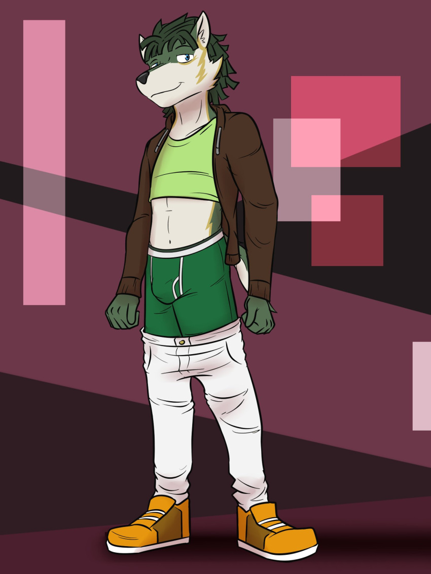 abstract_background anthro bottomwear bottomwear_down boxer_briefs bulge canid canine canis clothed clothing crop_top footwear fuze hi_res jacket link_(wolf_form) male mammal midriff nintendo pants pants_down partially_clothed shirt shoes solo the_legend_of_zelda topwear underwear wolf