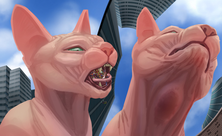 absurd_res bodily_fluids cat_pred city domestic_cat drooling felid feline felis feral hairless hairless_cat hi_res macro male mammal meeko micro mythological_sphinx mythology neck_bulge oral_vore rampage saliva sphynx_(cat) swallow_(disambiguation) vore