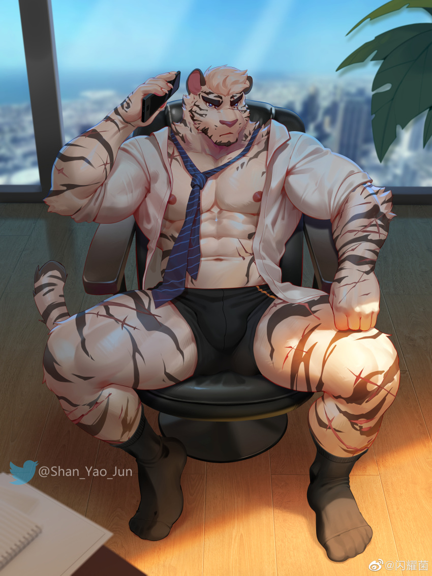 1boy abs absurdres alternate_costume animal_ears arknights bara bare_pectorals black_male_underwear black_socks boxers bulge chair collared_shirt facial_hair frown full_body furry furry_male goatee highres holding holding_phone indoors large_pectorals looking_at_viewer loose_necktie male_focus male_underwear manspreading mountain_(arknights) muscular muscular_male necktie nipples no_pants office_chair on_chair open_clothes open_shirt pectorals phone plant salaryman scar scar_across_eye scar_on_arm shadow shan_yao_jun shirt short_hair sitting sleeves_rolled_up socks solo stomach sunlight swivel_chair thick_eyebrows thick_thighs thighs tiger_boy tiger_ears underwear v-taper white_hair