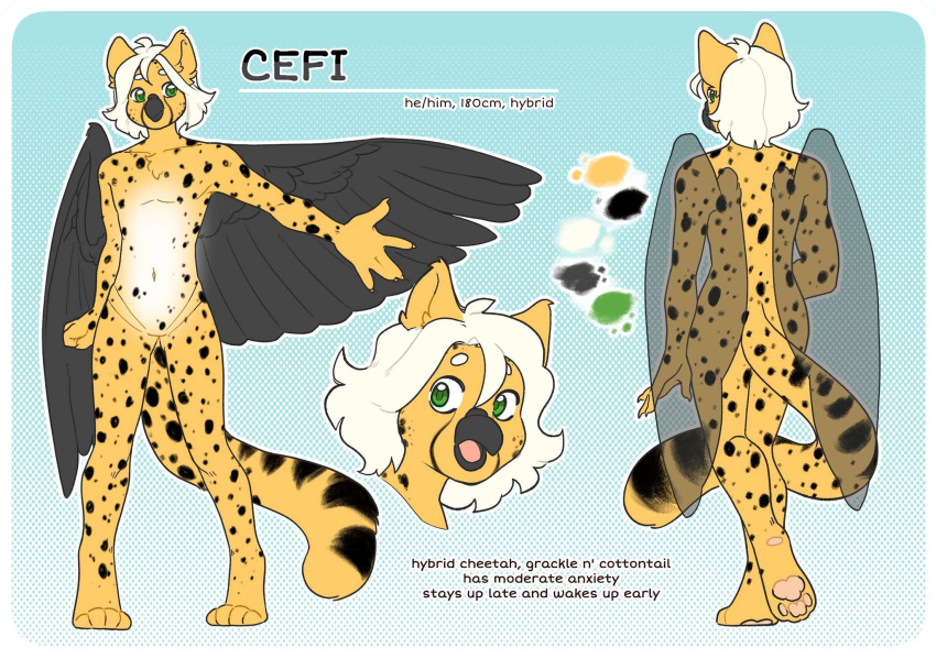 4_toes anthro avian beak birbit black_beak black_body black_feathers black_wings cefi_(mavis_delcat) cheetah color_swatch feathers feet felid feline fur green_eyes hair hi_res hybrid male mammal markings model_sheet multiple_angles pawpads pink_tongue shinystarshard solo spots spotted_body spotted_fur standing striped_markings striped_tail stripes tail tail_markings toes tongue white_body white_fur white_hair wings yellow_body yellow_fur