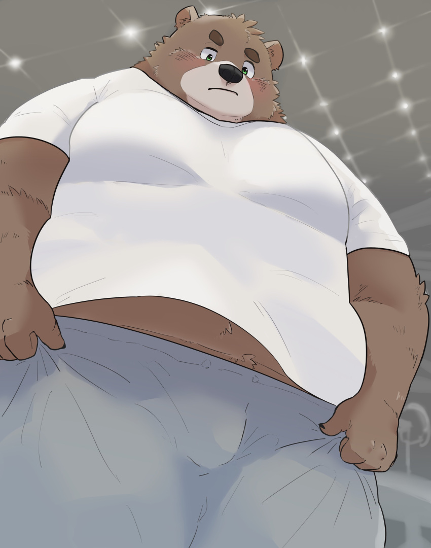 2023 absurd_res anthro bear belly black_nose bottomwear brown_body brown_fur bulge clothing detailed_background en_1_9 fur hi_res humanoid_hands kemono male mammal overweight overweight_male pants shirt solo topwear