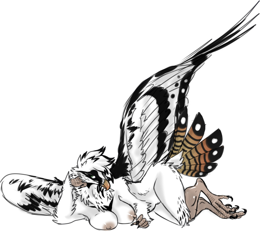 accipitrid accipitriform anthro avian beak bearded_vulture bird breast_rest breasts claws eyelashes feathers female hi_res old_world_vulture resting shirojackote solo vulture wings