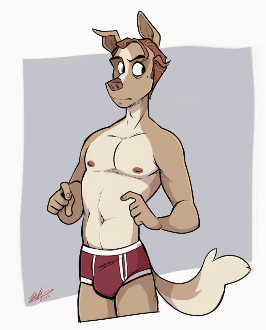anthro athletic athletic_anthro athletic_male beauty_mark briefs brown_hair bulge cadaverrdog canid canine canis clothing domestic_dog fur hair hi_res male mammal simple_background solo tan_body tan_fur underwear white_background wide_eyed