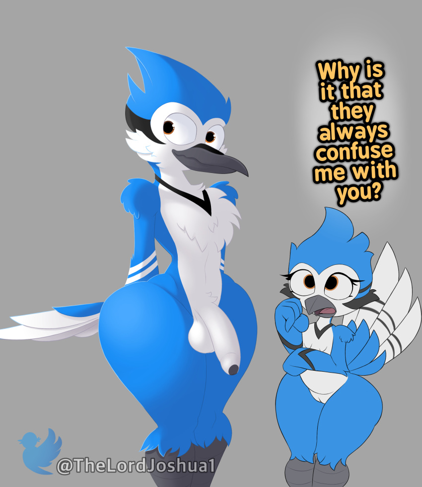 absurd_res animal_humanoid anthro avian avian_humanoid balls beak bird bird_humanoid blue_body blue_feathers blue_jay cartoon_network corvid curvy_body curvy_female curvy_figure curvy_male dialogue duo fan_character feathers female genitals girly hi_res humanoid jay_(bird) looking_at_another looking_back male mordecai_(regular_show) multicolored_body multicolored_feathers new_world_jay nude_female nude_male orange_eyes oscine passerine passerine_humanoid penis pussy regular_show short_stack size_difference smaller_anthro smaller_female tail_feathers text thelordjoshua1 thick_thighs watermark zafiro_(thelordjoshua)