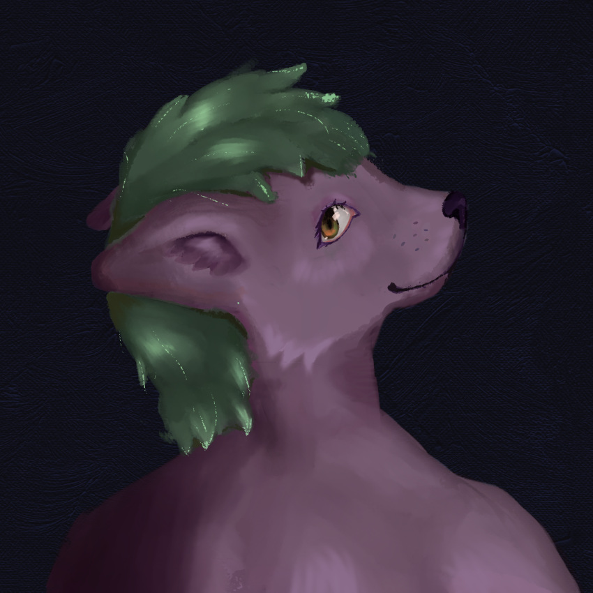 anthro brown_eyes canid canine ears_down fan_character female female/female fox fur green_hair gynomorph hair hi_res icon inner_ear_fluff intersex kunky looking_at_viewer looking_back mammal pivoted_ears profile_view profilepicture purple_body purple_fur solo tuft