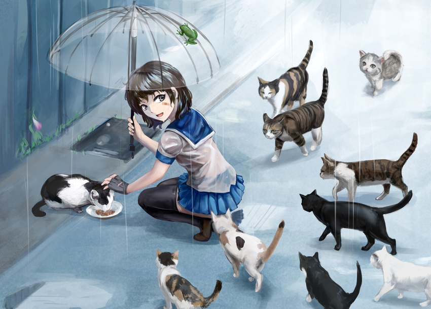 1girl bandage_on_face bandages black_fur black_gloves black_thighhighs blue_sailor_collar blue_skirt brown_eyes brown_footwear brown_fur brown_hair calico cat fingerless_gloves from_side full_body gloves grey_fur highres holding holding_umbrella looking_at_viewer looking_back loolook medium_hair miniskirt multicolored_fur open_mouth original outdoors pet_food plate pleated_skirt sailor_collar school_uniform see-through see-through_shirt serafuku shirt skirt solo thighhighs too_many too_many_cats transparent transparent_umbrella umbrella wet wet_clothes wet_hair wet_shirt white_fur
