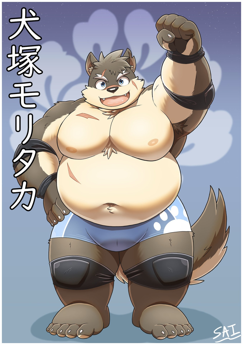 anthro belly blue_eyes briefs bulge canid canine canis clothing domestic_dog elbow_pads eyebrows fur grey_body grey_fur hi_res knee_pads lifewonders male mammal moritaka musclegut navel nipples pecs scar solo thick_eyebrows tokyo_afterschool_summoners underwear uwsponge