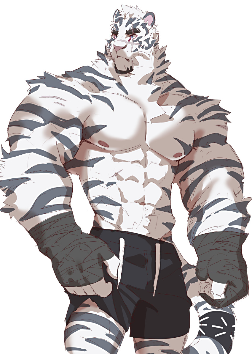 1boy abs absurdres animal_ears arknights bad_id bad_twitter_id bara black_shorts feet_out_of_frame furry furry_male highres inactive_account kimagureuso large_pectorals light_frown looking_to_the_side male_focus mountain_(arknights) muscular muscular_male navel nipples pectorals sanpaku scar scar_across_eye short_hair shorts solo standing stomach thick_eyebrows tiger_boy tiger_ears topless_male v-taper white_fur white_hair