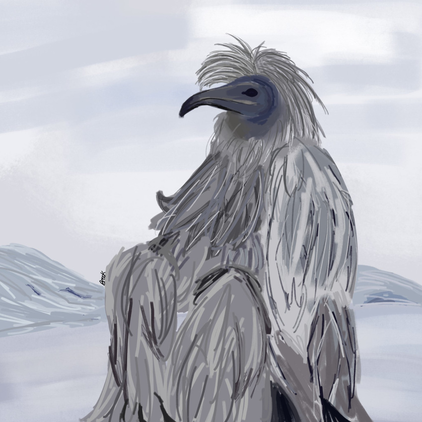 ambiguous_gender avian beak black_eyes cloudy cryptid erosion_bird feathers hi_res humanoid mountain outside signature sitting snow solo swxtrq white_body white_feathers