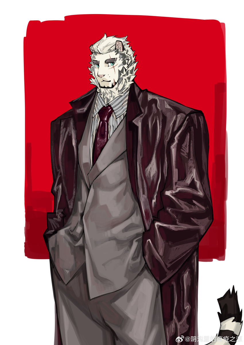 1boy absurdres arknights bara black_coat coat furry furry_male grey_pants hands_in_pockets highres looking_at_viewer mountain_(arknights) pants red_tie scar scar_across_eye tail tiger_boy tiger_stripes tiger_tail weibo_logo weibo_username white_fur yingou_li_de_wenyi_zhi_yuan