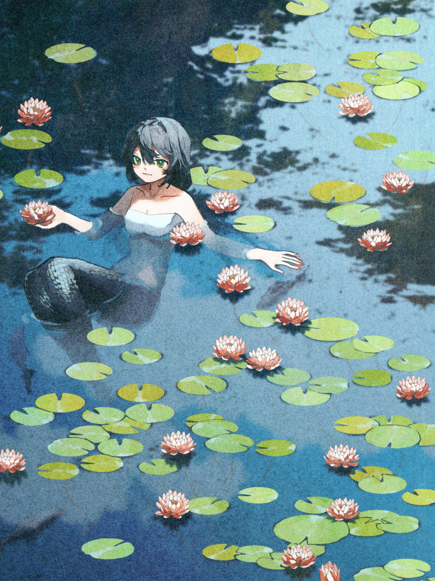 1girl :3 absurdres artbook bare_arms bare_shoulders bikini bikini_top_only black_hair blush breasts cleavage closed_mouth collarbone fish flower from_above full_body green_eyes highres holding holding_flower lake light_smile lily_pad long_hair medium_breasts mermaid monster_girl non-web_source original partially_submerged potg_(piotegu) reflection reflective_water scan solo swimsuit water water_lily_flower white_bikini