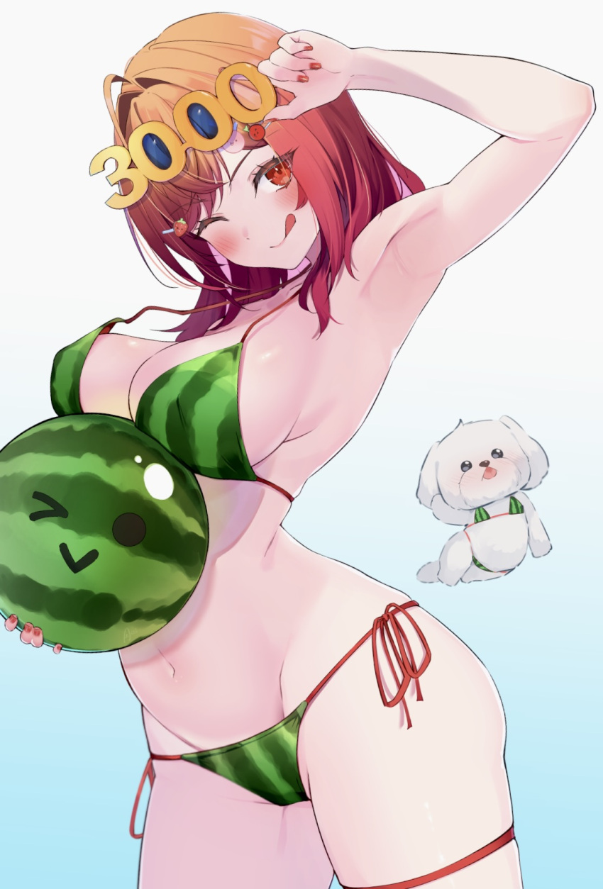 :q ;&gt; ahoge armpits bikini blue-tinted_eyewear breasts colored_inner_hair dog eyewear_on_head food food-themed_hair_ornament food_print fruit gradient_background gradient_hair hair_ornament hairpin head_tilt highres hololive ichijou_ririka inuinuo_gataken large_breasts medium_hair multicolored_hair navel orange_eyes orange_hair orange_nails pink_hair presenting_armpit print_bikini red_hair side-tie_bikini_bottom skindentation strap_slip strawberry_hair_ornament string_bikini suika_game swimsuit thigh_strap tinted_eyewear tongue tongue_out virtual_youtuber watermelon watermelon_print