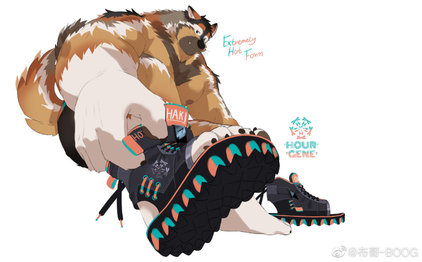 1boy adjusting_footwear animal_ear_fluff animal_ears bara black_fur boogbogex brown_eyes brown_fur character_name chest_hair dog_boy dog_ears english_text foreshortening full_body furry furry_male haki_(boogbogex) highres large_pectorals looking_at_viewer male_focus muscular muscular_male nipples orange_fur original pectorals shoes short_hair shorts sneakers solo thick_eyebrows topless_male whiskers white_fur