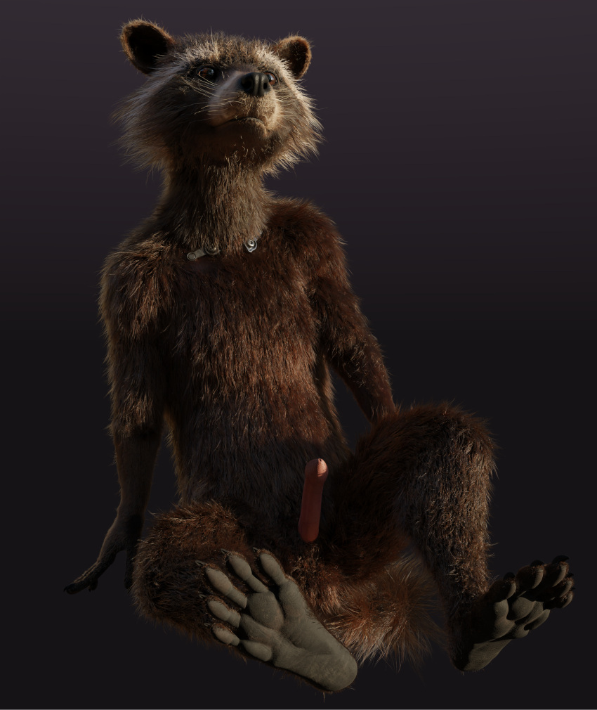 3d_(artwork) 5_fingers 5_toes absurd_res anthro balls biped black_nose blender_(software) brown_body brown_eyes brown_fur cheek_tuft claws digital_media_(artwork) disney erection facial_markings facial_tuft feet finger_claws fingers fur genitals guardians_of_the_galaxy head_markings hi_res male mammal markings marvel mask_(marking) multicolored_body multicolored_fur nude penis pink_penis plantigrade procyonid raccoon ring_(marking) ringtail rocket_raccoon rockyrcoon simple_background sitting solo spread_legs spreading tail tail_markings toe_claws toes tuft whiskers white_ear_tips white_muzzle