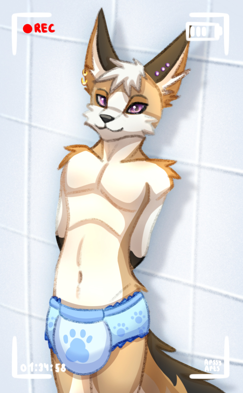 anthro arssy arssyarts camera canid canine clothed clothing diaper diaper_fetish diaper_only ear_piercing fox hi_res infantilism looking_at_viewer male mammal piercing print_diaper recording solo standing topless video_camera wearing_diaper
