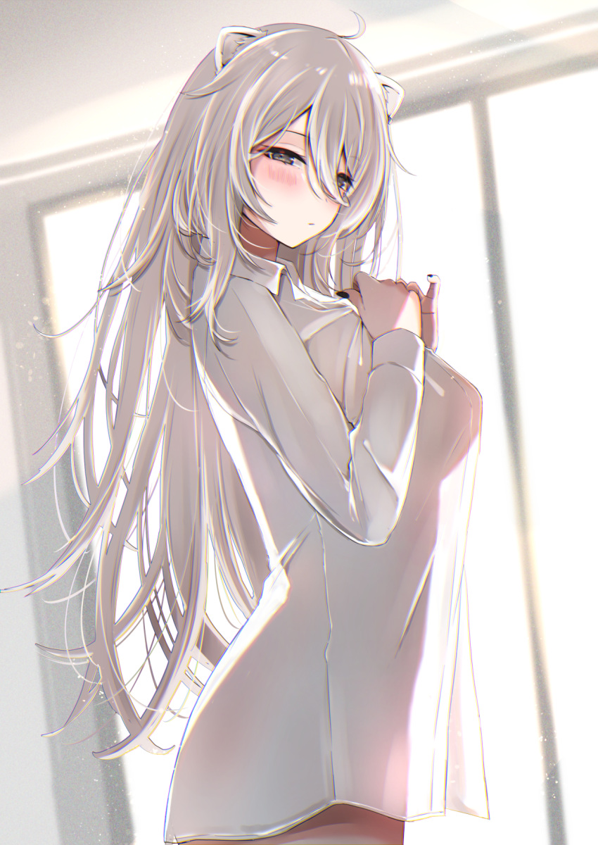 1girl ahoge animal_ears black_nails blush breasts collared_shirt grey_eyes grey_hair hair_between_eyes highres hololive large_breasts lion_ears lion_girl long_hair long_sleeves looking_at_viewer nerorigogo shirt shishiro_botan solo very_long_hair virtual_youtuber