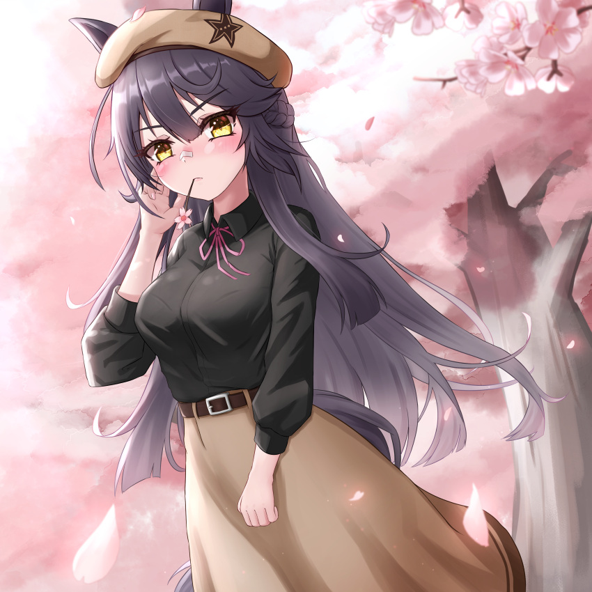 1girl absurdres alternate_costume animal_ears bandaid bandaid_on_face bandaid_on_nose black_hair black_shirt blush bow breasts brown_headwear brown_skirt cherry_blossoms collared_shirt commentary_request cowboy_shot ears_through_headwear hanami highres horse_ears horse_girl horse_tail large_breasts long_hair long_sleeves looking_at_viewer mouth_hold narita_brian_(umamusume) outdoors pink_bow shinonome_(shinonome_rynn) shirt skirt solo stalk_in_mouth tail umamusume yellow_eyes