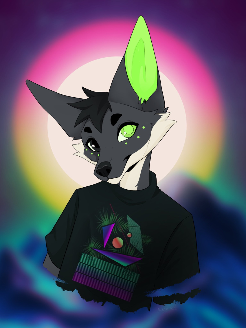 anthro canid canine clothed clothing ellaria fennec fox hair heterochromia hi_res kota_(kotafen) looking_at_viewer male mammal markings smile solo spots topwear vaporwave