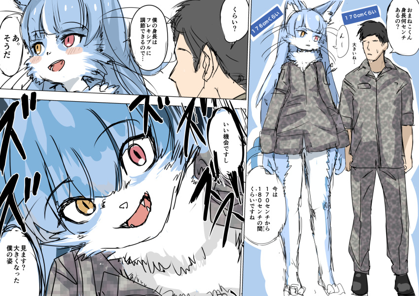 2023 3_toes akegata_tobari ambiguous_gender anthro black_clothing black_footwear black_hair black_pupils black_shoes blue_body blue_ears blue_fur blue_hair blue_inner_ear blue_tail blush blush_stickers body_size_growth bottomless bottomless_ambiguous bottomless_anthro bottomwear camo camo_bottomwear camo_clothing camo_pants camo_print camo_topwear cheek_tuft clothed clothing colored comic countershade_face countershade_fur countershade_legs countershade_neck countershading dialogue digital_drawing_(artwork) digital_media_(artwork) domestic_cat duo facial_tuft fangs feet felid feline felis footwear fully_clothed fur hair height height_comparison heterochromia hi_res human humanoid_hands inner_ear_fluff japan_air_self-defense_force japanese_text kemono long_hair long_legs looking_at_another looking_at_viewer male male_(lore) mammal monotone_ears monotone_hair monotone_tail multicolored_body multicolored_fur neck_tuft omaneko_(jasdf) open_mouth open_smile pants pattern_bottomwear pattern_clothing pattern_pants pattern_topwear pink_eyes pupils shirt short_hair simple_background size_transformation smile sound_effects standing tail teeth text toes topwear transformation translated tuft two_tone_body two_tone_fur whiskers white_body white_countershading white_fur white_inner_ear_fluff white_nose yellow_eyes